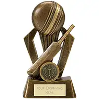 Surge Cricket Award 6in