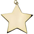 Gold Star Medal 80mm