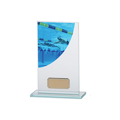 Swimming Colour Curve Jade Crystal Award 160mm