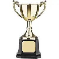 6in Worldwide Gold Finish Cup Award