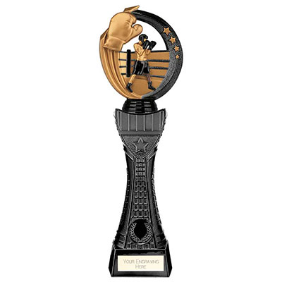 310mm Renegade Tower II Boxing Award