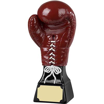 9in Red Boxing Award
