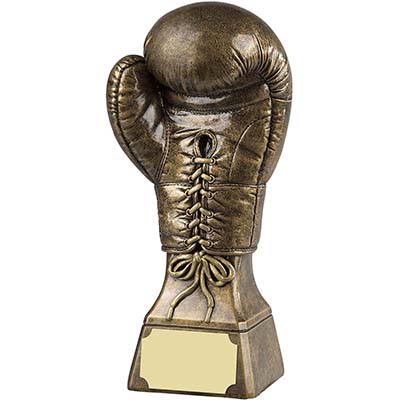 9in Gold Boxing Award