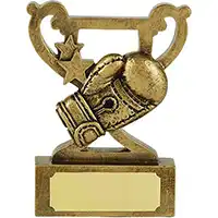 3.25in Mini Cup Boxing Award