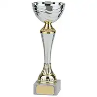 Everest Silver & Gold Cup 190mm