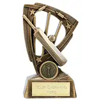 Force Cricket Award 12cm