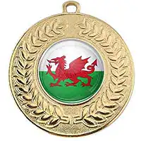 Wales Gold Medal 50mm