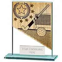 110mm Mustang Glass Hockey Award