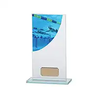 Swimming Colour Curve Jade Crystal Award 180mm
