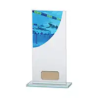 Swimming Colour Curve Jade Crystal Award 200mm