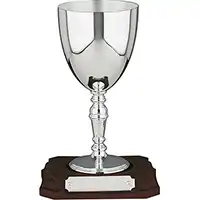 5.25in  Silverplated Goblet