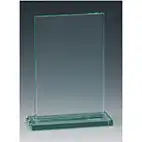 17cm Portrait Glass Award