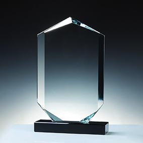 22cm Hexagon Cut Glass Award