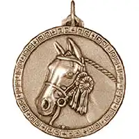 38mm Gold Equestrian Medals