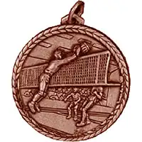 Bronze Volleyball Medals 38mm