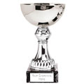 Nordic5.5 Silver Cup