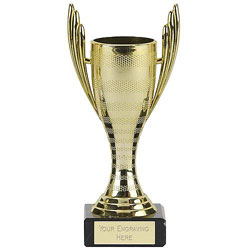 Mercury Cup Gold Trophy