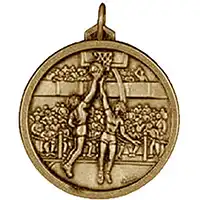 56mm Gold Netball Medal