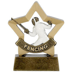 Mini Star Fencing