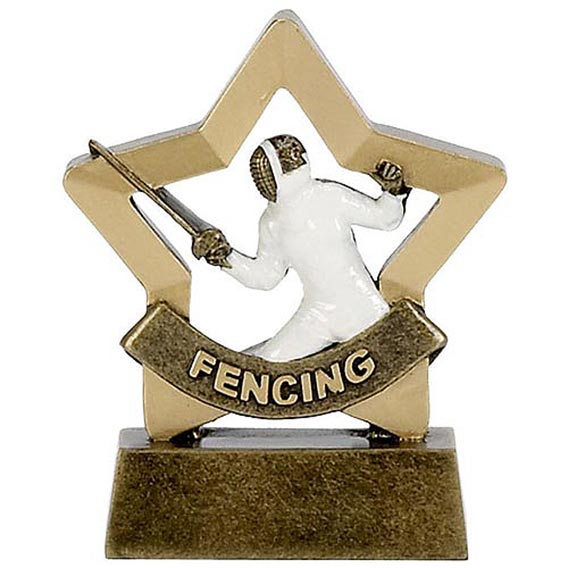 Mini Star Fencing