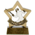 Mini Star Fencing