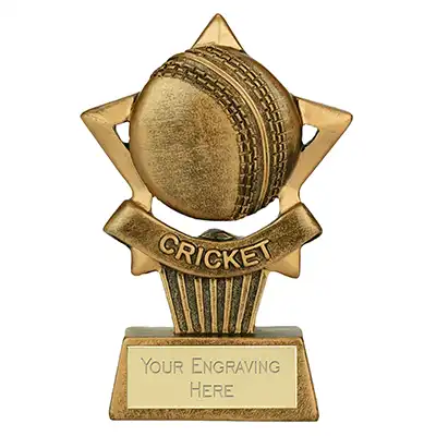 Mini Star Plus Cricket Award 10cm