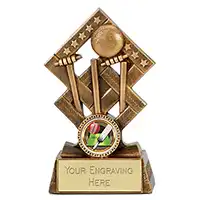 4.5in Cube Cricket Award