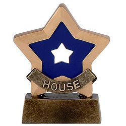 Mini Star Blue House