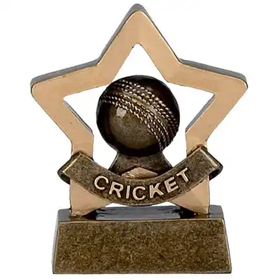 Mini Star Cricket 8cm