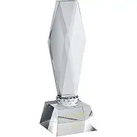 8.5in  Signature Clear Crystal Award