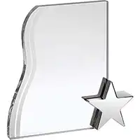 7.25in Silver Star Crystal Award