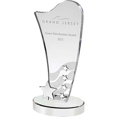 10in Silver 5 Star Crystal Award