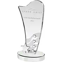 10in Silver 5 Star Crystal Award
