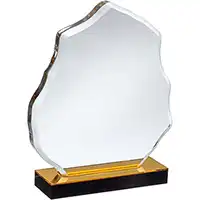 Acrylic Awards