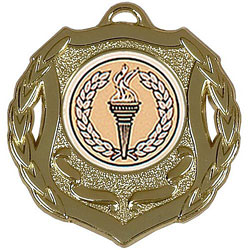Shield50 Medal