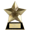 Star Plaque Bronze 4in