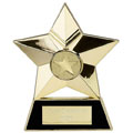 Star Plaque Gold 4in