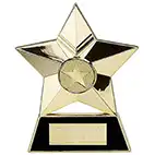 Star Plaque Gold 4in