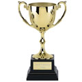 Recognition Gold Cast Cup 14cm
