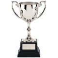 Recognition Silver Cast Cup 11cm