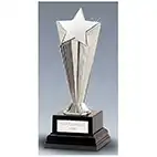 Recognition Award Silver Star 16cm