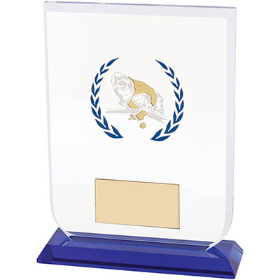 Gladiator Pool/Snooker Glass Award 140mm