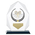 Glacier Tennis Glass Award 160mm