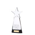 Houston Crystal Award 230mm