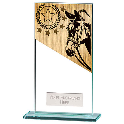 160mm Mustang Glass Equestrian Award