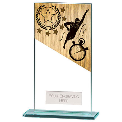 160mm Mustang Glass Swimming Award