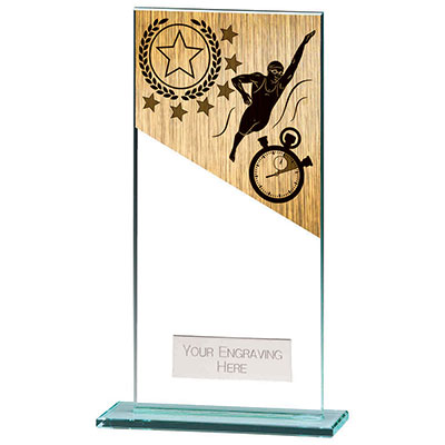 180mm Mustang Glass Swimming Award