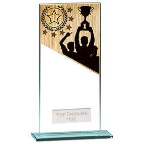 180mm Mustang Glass Achievement Award