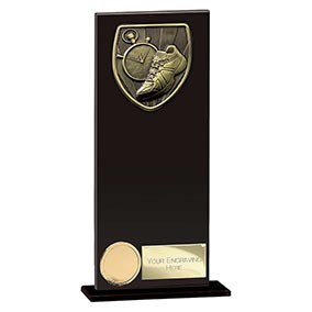 Cobra  Hero Black Glass Running Award 200mm