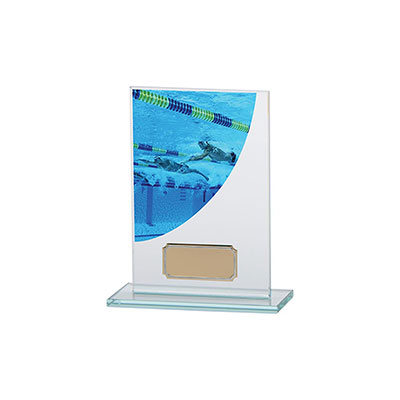 Swimming Colour-Curve Jade Crystal Award 140mm